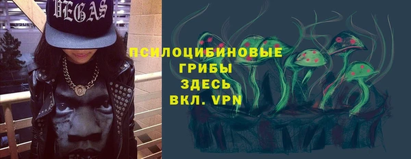 ГАЛЛЮЦИНОГЕННЫЕ ГРИБЫ Алексин