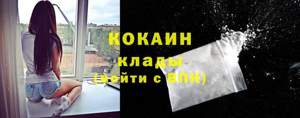 ГАЛЛЮЦИНОГЕННЫЕ ГРИБЫ Алексин