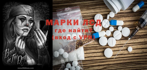 шишки Алзамай
