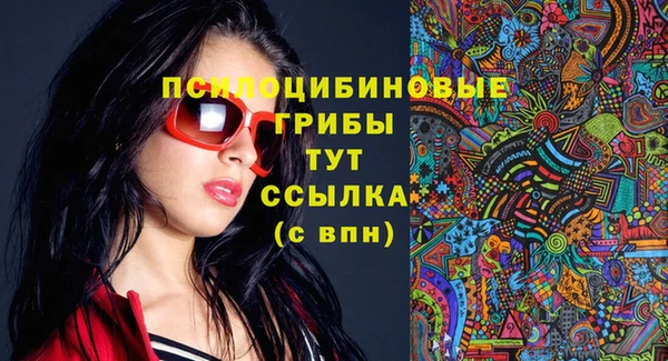 ГАЛЛЮЦИНОГЕННЫЕ ГРИБЫ Алексин