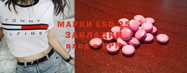шишки Алзамай