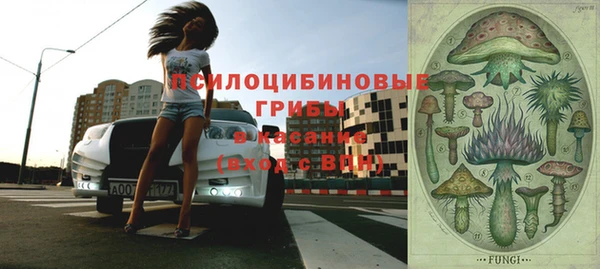 ГАЛЛЮЦИНОГЕННЫЕ ГРИБЫ Алексин