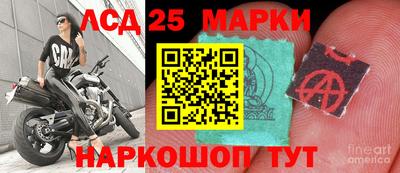 мяу мяу мука Севастополь