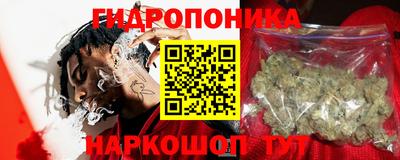 прущие грибы Северобайкальск
