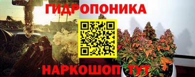 прущие грибы Северобайкальск